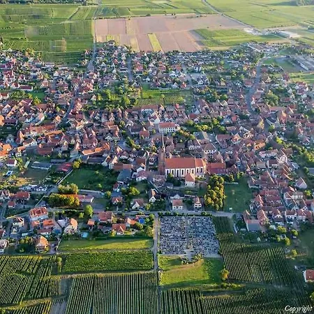 Sur La Route Des Vins Entre Colmar Et Strasbourg