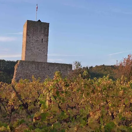 Sur La Route Des Vins Entre Colmar Et Strasbourg Apartament *